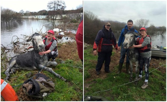 Nụ cười biết ơn