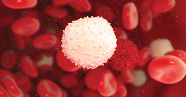 Vắc-xin DNA với liệu pháp miễn dịch có thể điều trị HPV Vắc-xin DNA với liệu pháp miễn dịch có thể điều trị HPV