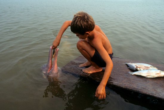 Người bộ tộc Acurinis Người bộ tộc Acurinis