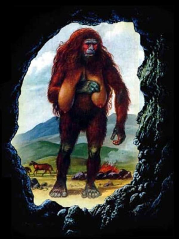 Người Almas  Người Almas