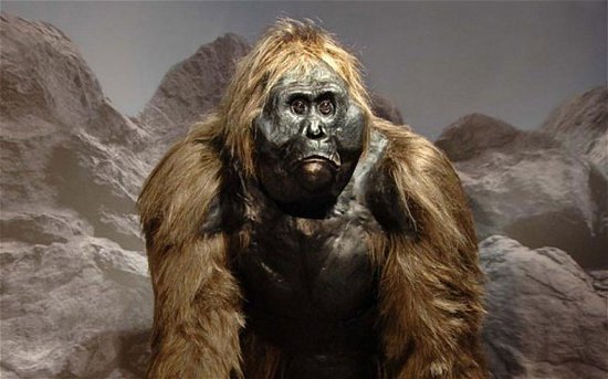 Người Yeren (dã nhân)  Người Yeren (dã nhân)