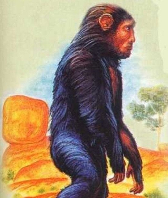 Các Yowie  Các Yowie