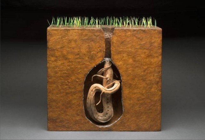 Cá phổi ngủ đông khi mùa khô đến 