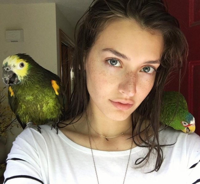 Tạo một dáng lông mày thật hoàn hảo