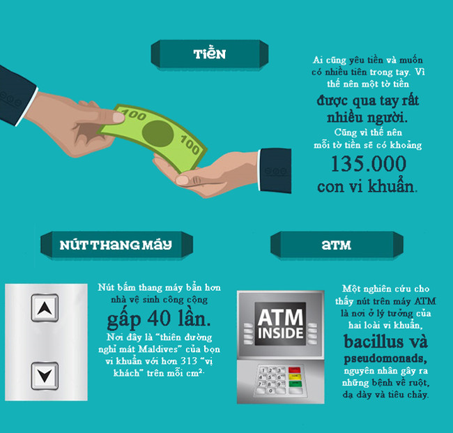 Tiền cũng là nơi vi khuẩn sinh sống