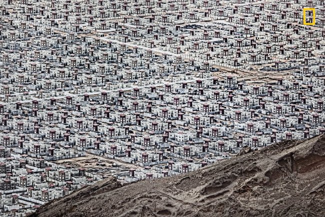 Al Ain, Các tiểu vương quốc Ả Rập thống nhất