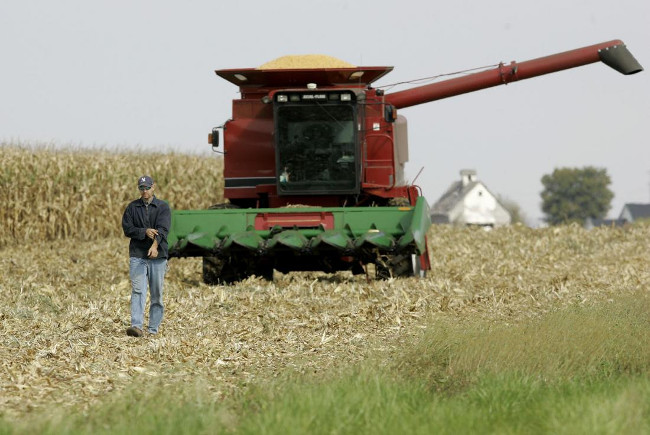 Nông dân có nguy cơ tự tử cao hơn các nghề khác