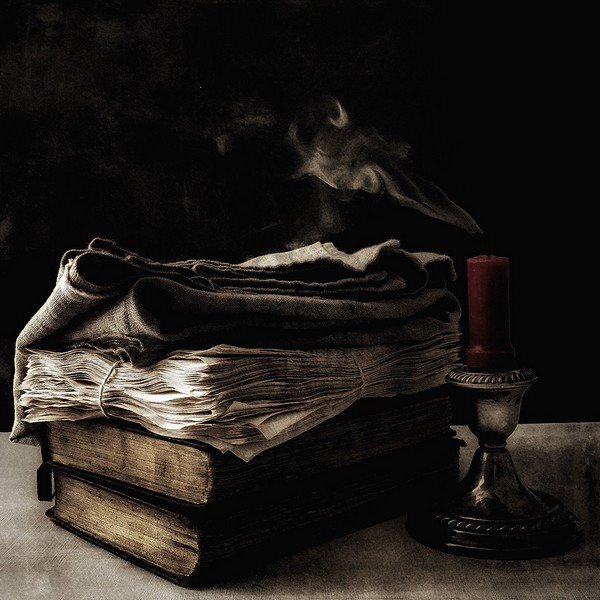 Bức ảnh đầy nghệ thuật của David Hayes đã giúp anh giành chiến thắng ở hạng mục “Tĩnh vật”.