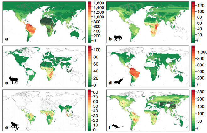 Các điểm nóng virus trong các loài động vật được nghiên cứu dự đoán