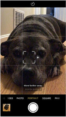 Chế độ chụp ảnh xóa phông trên iPhone 7 Plus