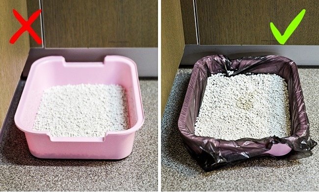 Bọc túi ni lông vào hộp đựng thức ăn cho mèo và đổ thức ăn vào