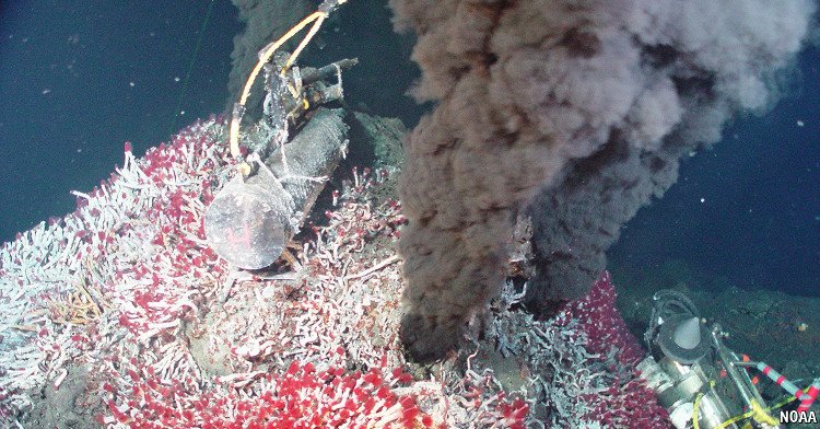 Một vết nứt trên lớp vỏ Trái Đất nằm sâu dưới đáy đại dương