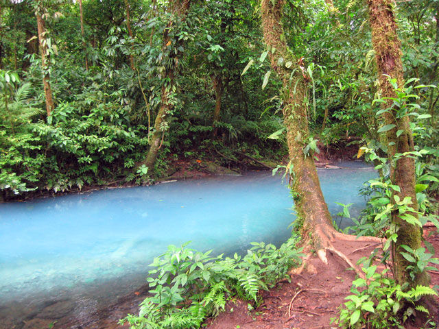 Nước ở con sông không có bất cứ thành phần nào gây nguy hại đến sức khỏe con người