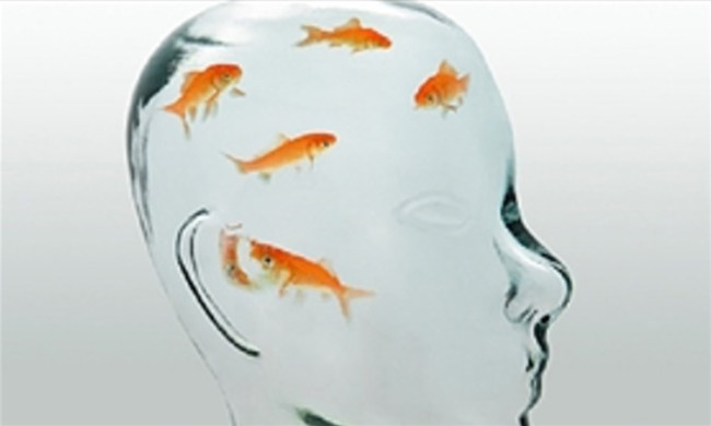 Những người não cá vàng 