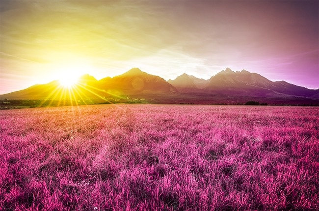 Ở thời nguyên thủy Trái Đất từng có màu tím  