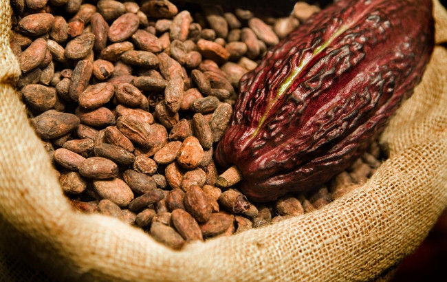 Hạt ca cao hoặc loại vải bông được người Aztec và Inca sử dụng làm phương thức thanh toán 