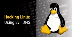 Máy Linux có thể bị hack từ xa chỉ với một phản hồi DNS nhiễm độc