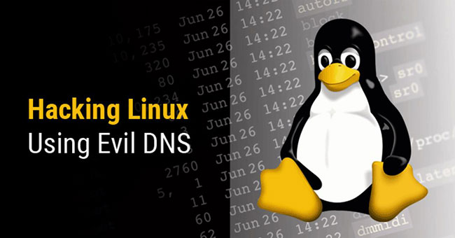 Hack máy Linux thông qua phản hồi DNS nhiễm độc