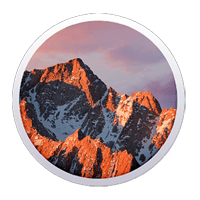 Những mục nào cần chú ý khi dọn dẹp bộ nhớ trên macOS?