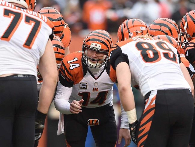 Website thảo luận thể thao trực tiếp