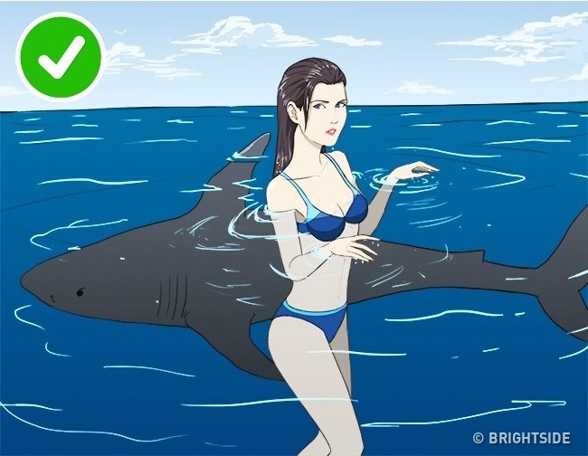 Sống sót khi gặp cá mập bằng cách đứng yên