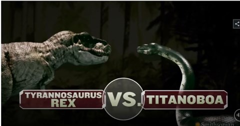 Khủng long T-rex đối đầu với Titanoboa, loài trăn khổng lồ lớn nhất lịch sử Trái Đất