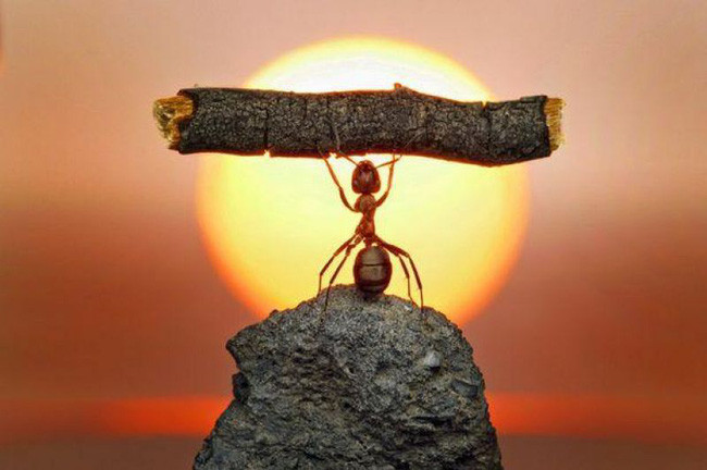 Người có cố gắng sẽ thành công 