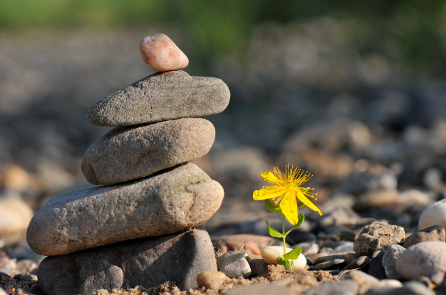 Thất bại là mẹ thành công 