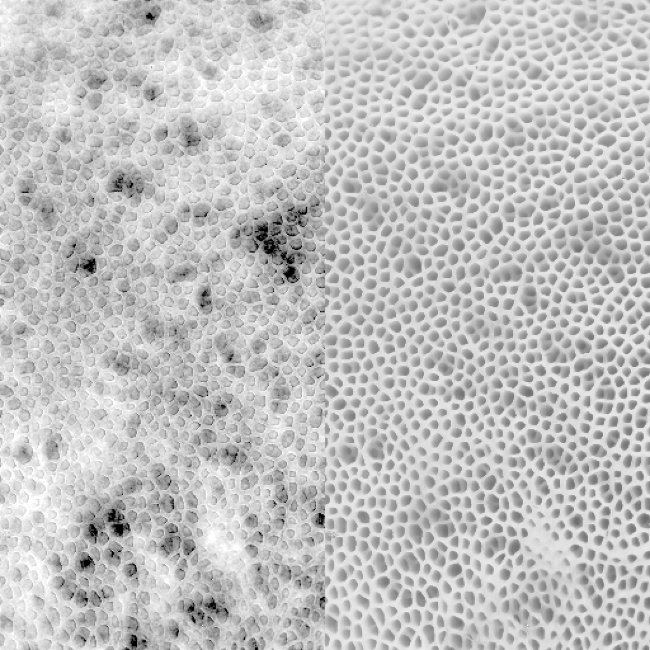 Hình ảnh tương phản