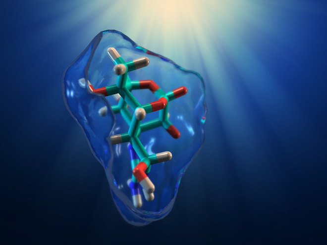 Chất độc thần kinh tetrodotoxin (TTX)