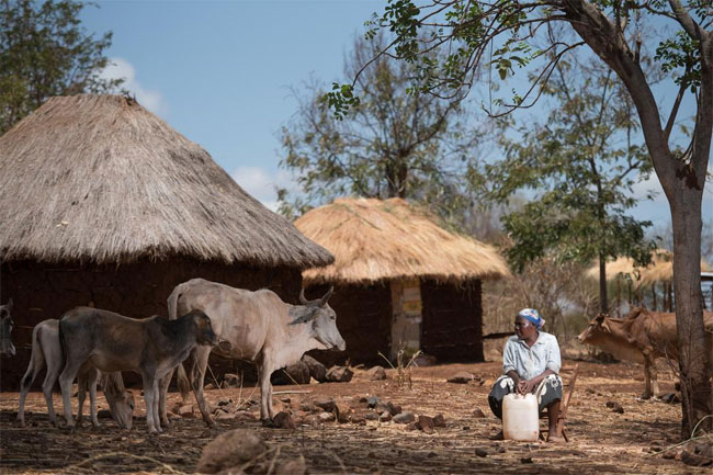 Hạn hán ở Kenya