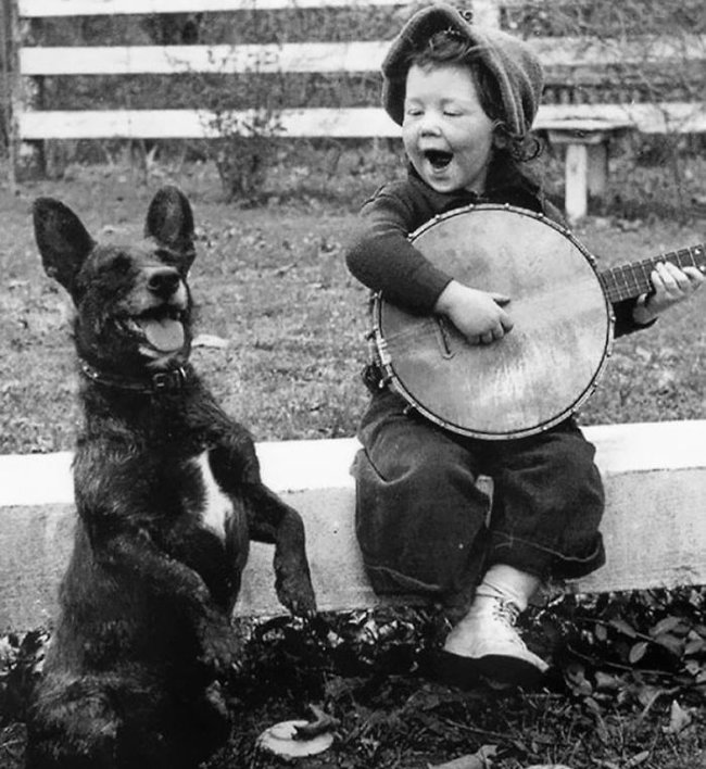 Một cô bé đang đánh đàn cho "người bạn" của mình nghe