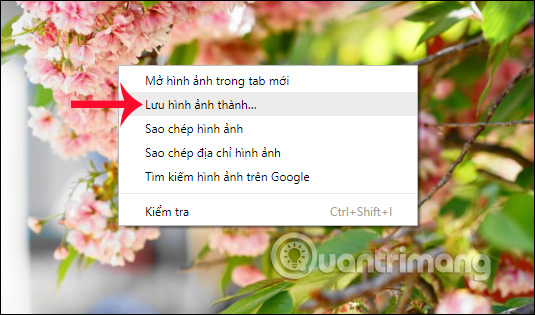 Tải hình ảnh từ Boxpx