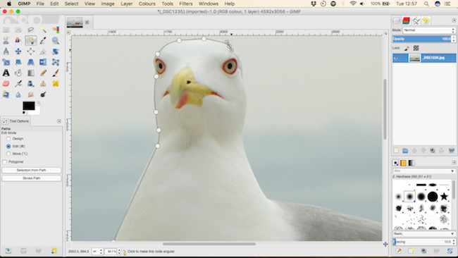 Đặt các nút trên hình vẽ