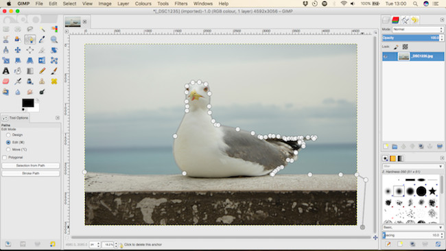 Xác định vùng lựa chọn