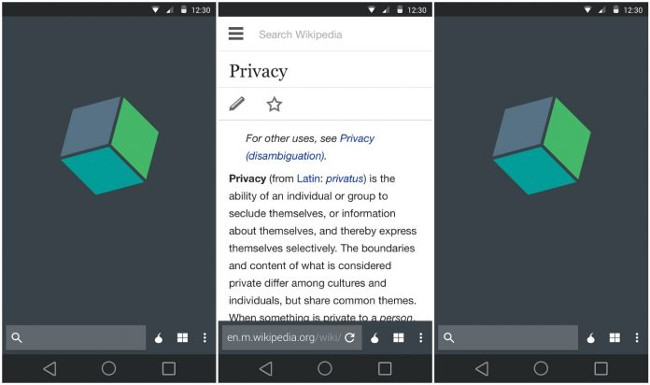 Trình duyệt Krypton Web Browser