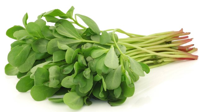 Rau sam chứa nhiều vitamin A nhất trong tất cả các loại rau lá xanh