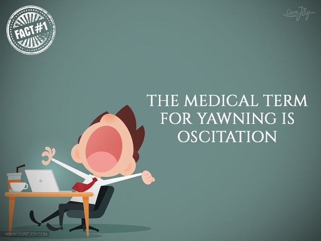 Thuật ngữ trong y học của ngáp là oscitation