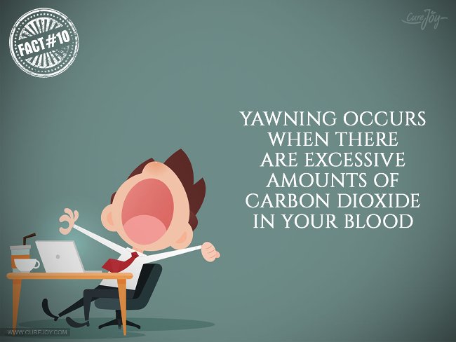 Hiện tượng ngáp xảy ra khi có quá nhiều carbon dioxide (CO2) trong máu