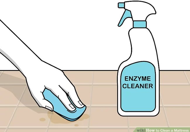 Loại bỏ vết bẩn sinh học bằng dung dịch làm sạch enzyme