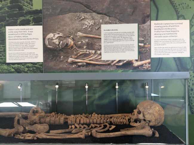 Bộ xương được trưng bày là của một người đàn ông