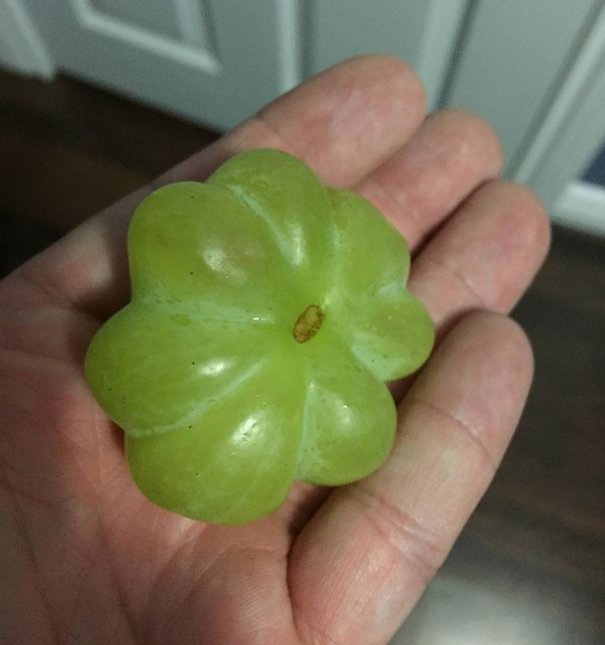 Đây là táo hay cam chứ nho kiểu gì lại ra cái hình dáng này? Chắc nho "8 trong 1"