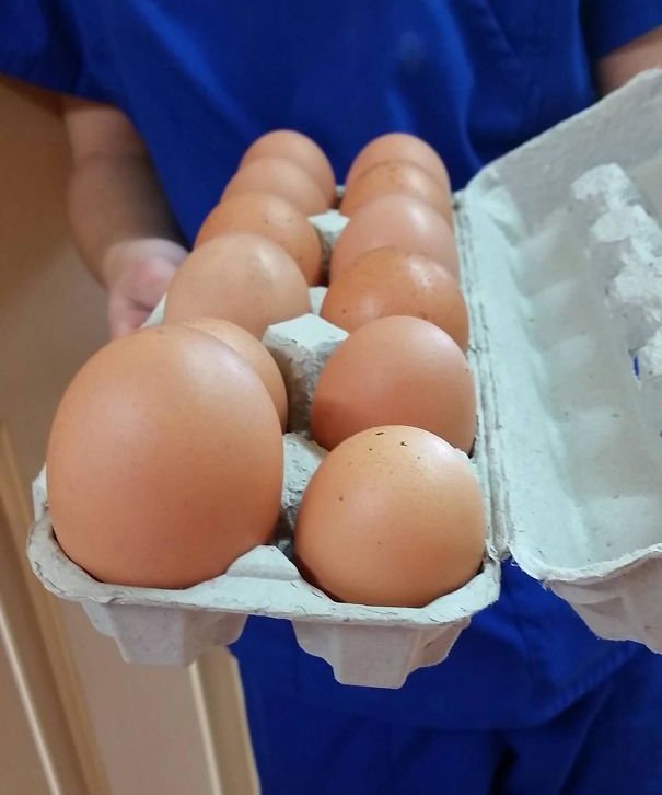 Quả trứng này đến từ một hành tinh khác