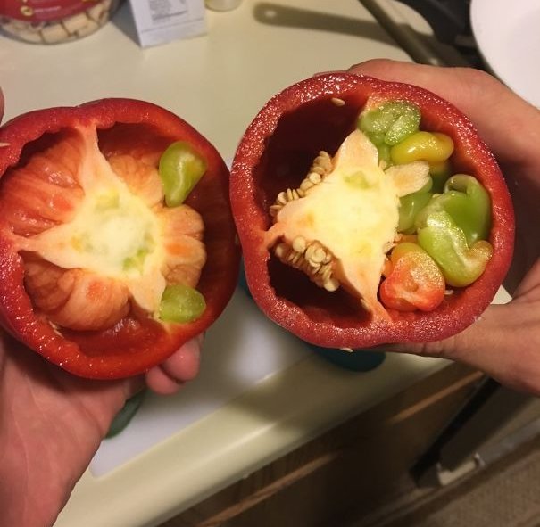 Mua 1 trái to mà bonus thêm đến 7 trái con liền