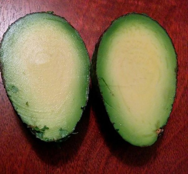 Trái bơ không hạt, mấy ngàn trái mới thấy được một lần