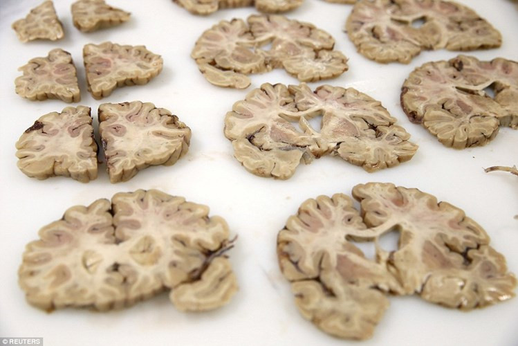 Phần đông lạnh được cắt thành khoanh hoặc cắt mỏng