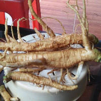 Thương lục nhầm với nhân sâm, thuốc xổ nhầm với thuốc bổ nguy hiểm khôn lường