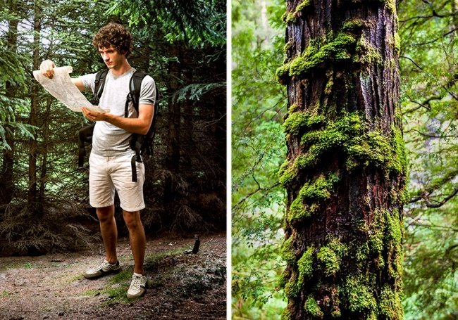 Xác định phương hướng khi ở trong rừng