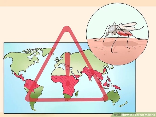 Xác định xem bạn có đang ở trong khu vực có nguy cơ mắc dịch bệnh hay không