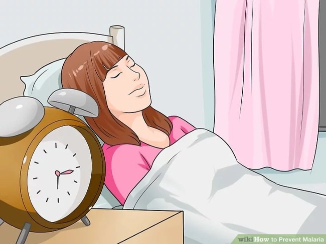 Hãy ở trong nhà trong khoảng thời gian lúc chạng vạng tối và bình minh, nếu được